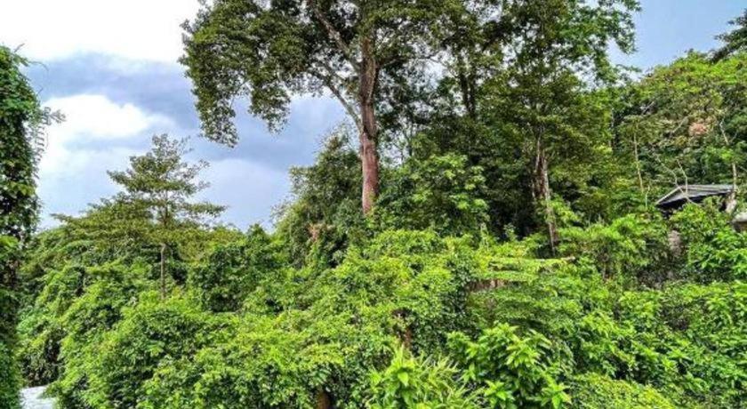 Rueangrat Hotel Ranong Kültér fotó